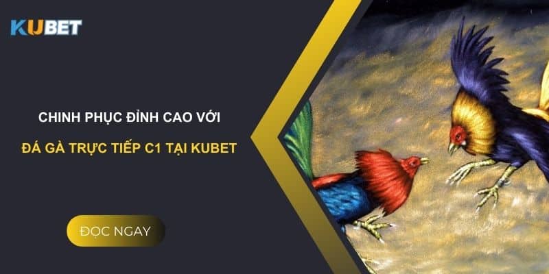 Chinh phục đỉnh cao với đá gà trực tiếp c1 tại kubet