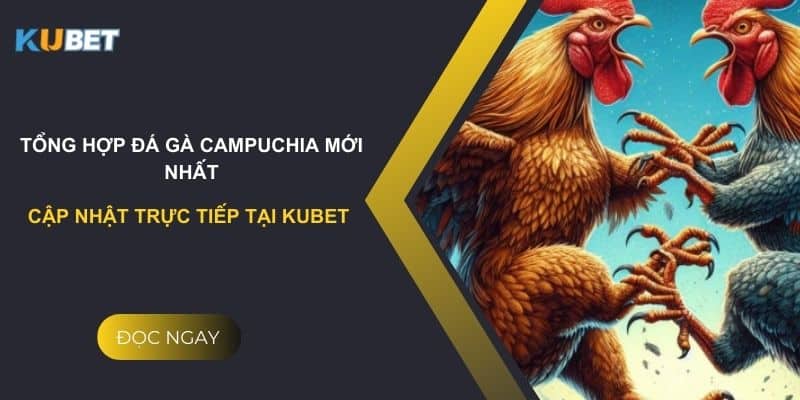 Tổng hợp đá gà Campuchia mới nhất: Cập nhật trực tiếp tại Kubet