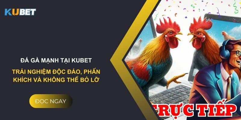 Đá gà mạnh tại Kubet: Trải nghiệm độc đáo, phấn khích và không thể bỏ lỡ