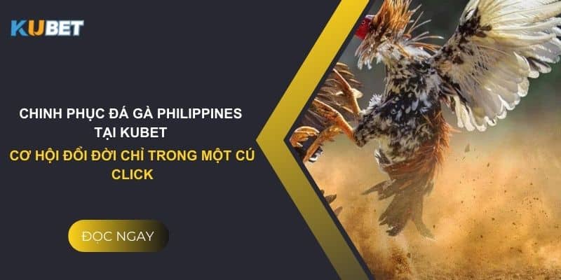 Chinh phục đá gà philippines tại Kubet: Cơ hội đổi đời chỉ trong một cú click