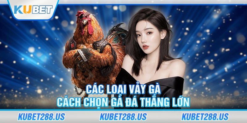 Các Loại Vảy Gà