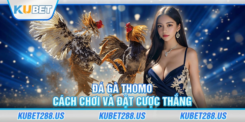 đá gà thomo